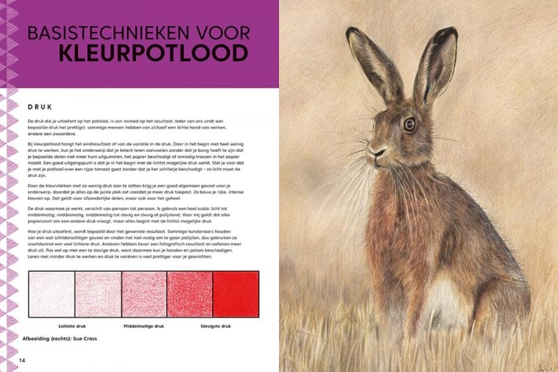 Een Realistisch dieren tekenen Paperback, 144 pagina's koop je bij Terpen Tijn